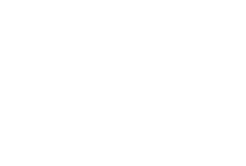 Logo Canovas 1929